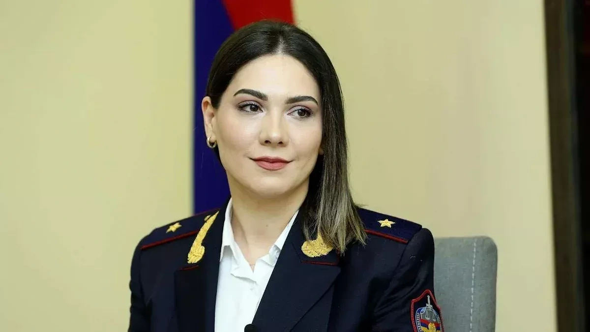 Justice minister: New Armenian constitution legally ready