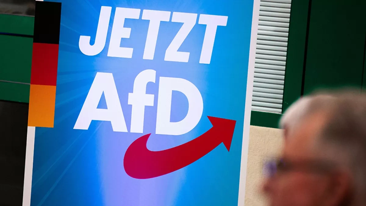 AfD dominates German party rankings, poll shows
