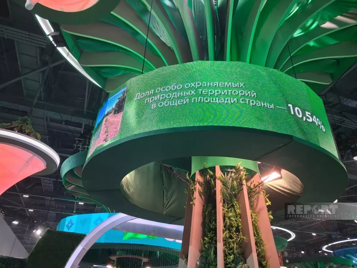 Azerbaijan showcases green energy agenda at RES2026 summit in Astana Photo