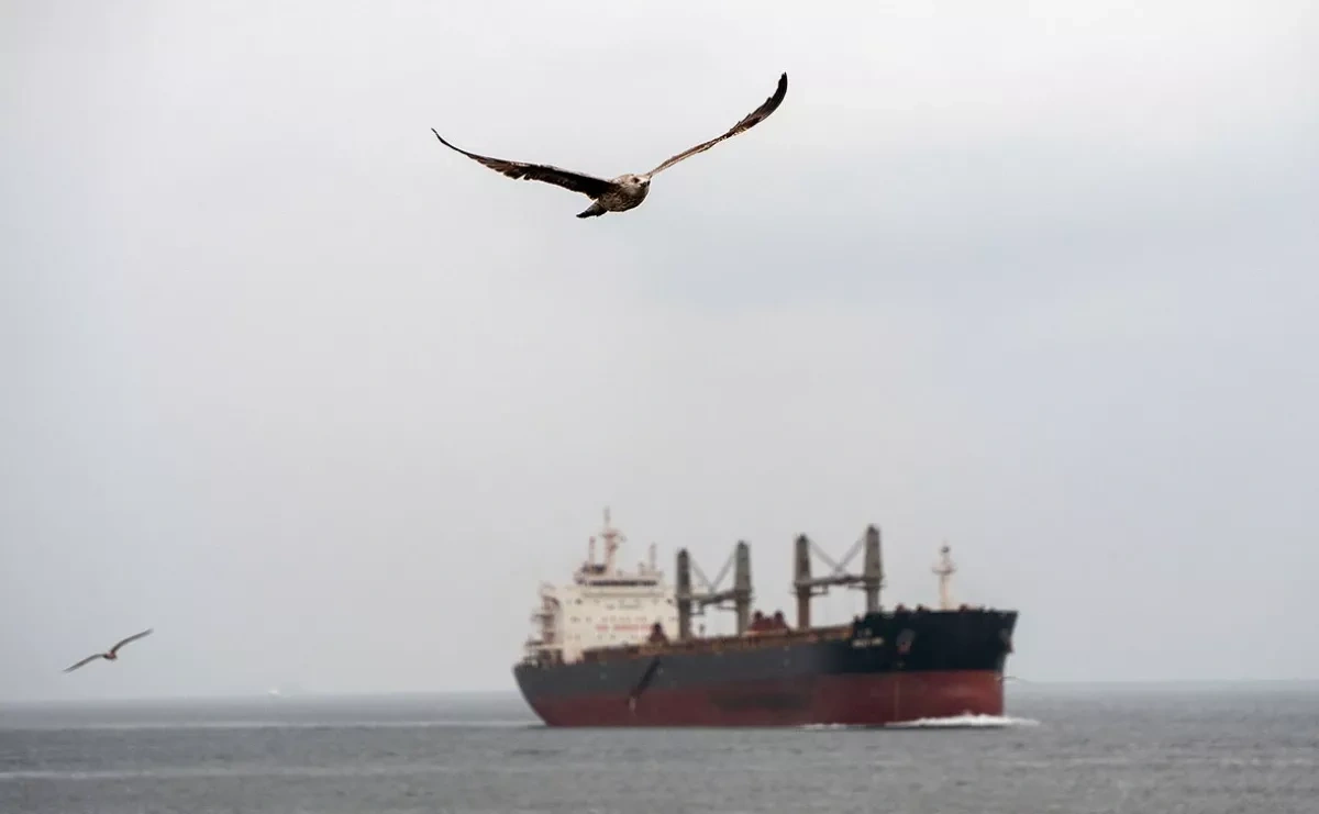 Türkiye proposes Russia-Ukraine deal to end Black Sea shipping attacks