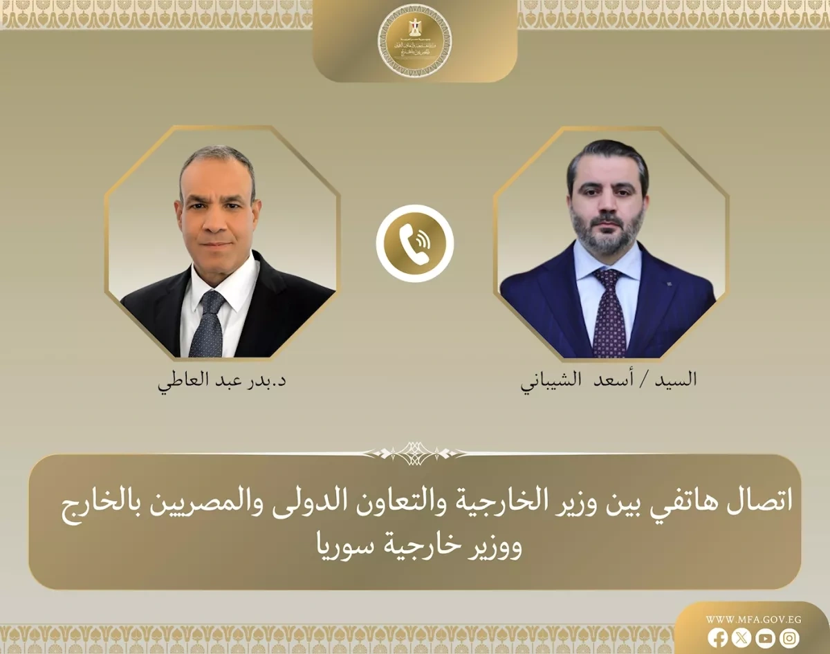 Egypt, Syria coordinate on economic ties and regional stability