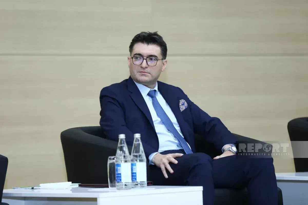 Azerbaijan, Central Asia could form major energy hub for Europe — official