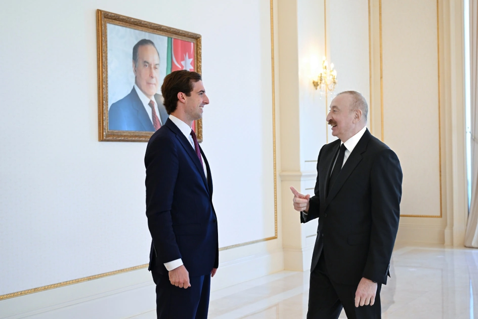 President Ilham Aliyev receives delegation led by U.S. Assistant Secretary of State for Economic, Energy and Business Affairs (PHOTO)