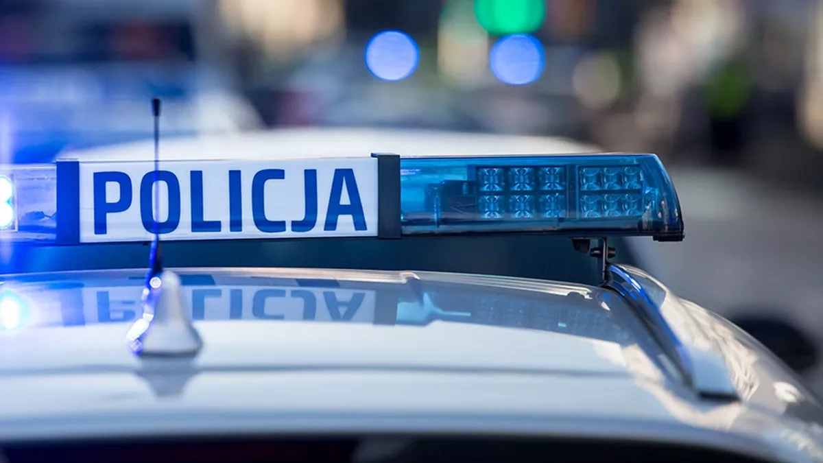 Ukrainian man detained with ammunition at Poland’s defence exhibition