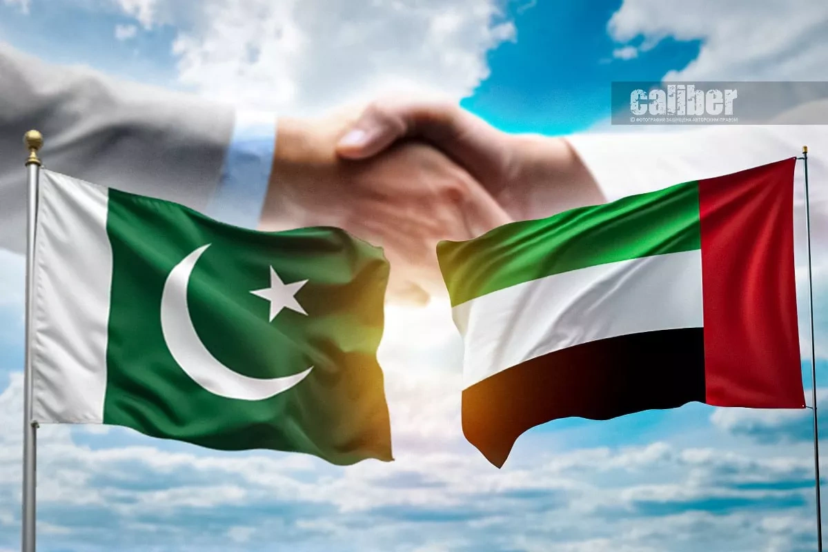 Economic shield and strategic depth Why Pakistan matters in Abu Dhabi’s new geopolitics