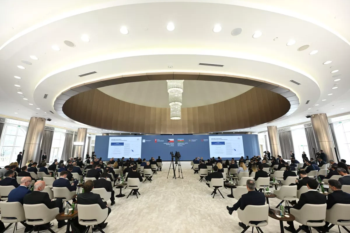 Azerbaijan, Czech Republic discuss development of business partnership