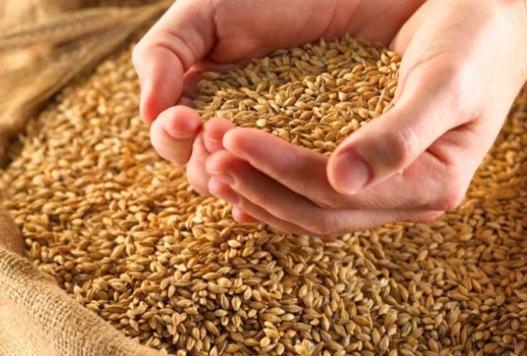Azerbaijan approves law "On seed production"