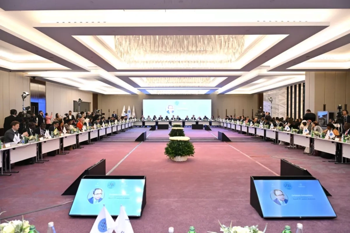 UN endorses Azerbaijan-led initiative linking NGOs across Global South PHOTO