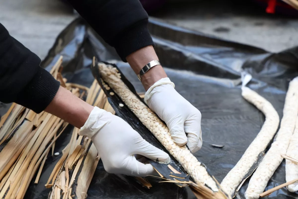 Syrian authorities foil Captagon smuggling operation PHOTO