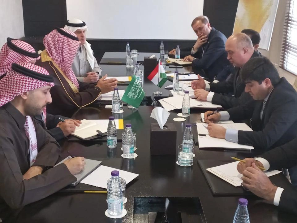 Tajikistan, Saudi Arabia discuss strategic path for investment cooperation