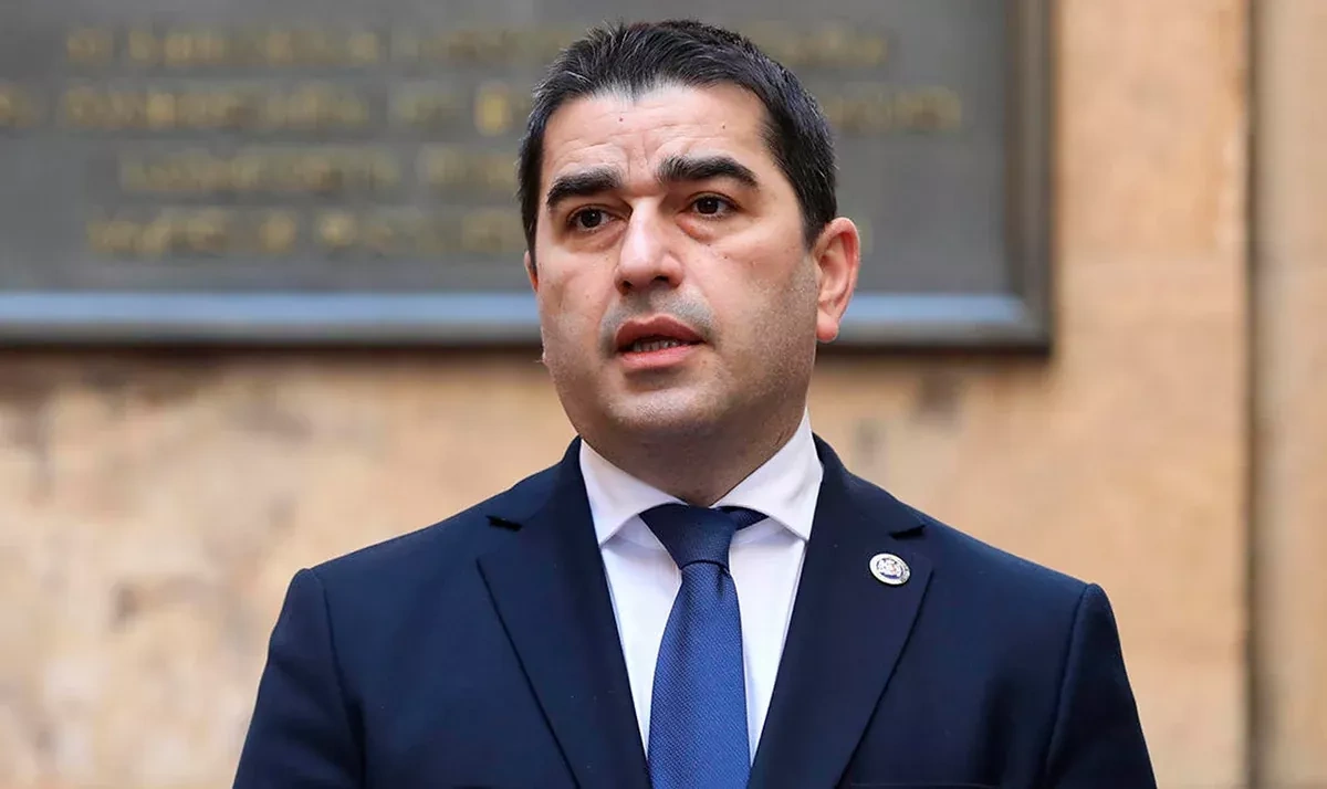 South Caucasus stability built on national interests of regional states, says Georgian speaker