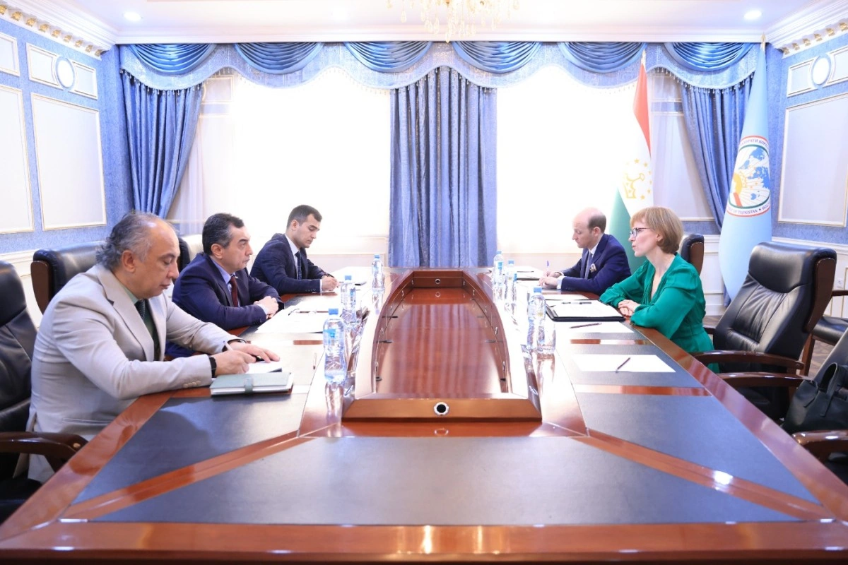 Tajikistan, U.S. discuss strengthening political and economic ties