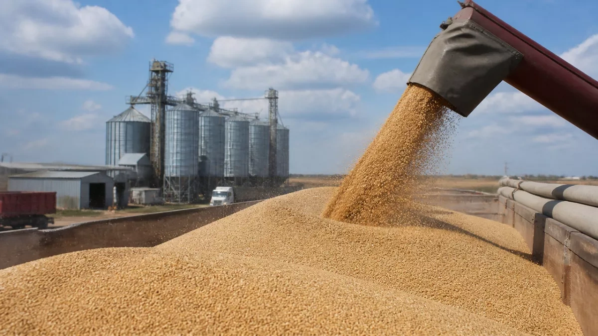 Russian region declares emergency as Ukrainian attacks disrupt grain shipments