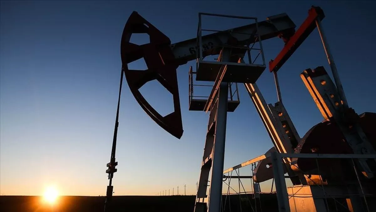 Oil prices fall after Trump pauses Iran strike for talks