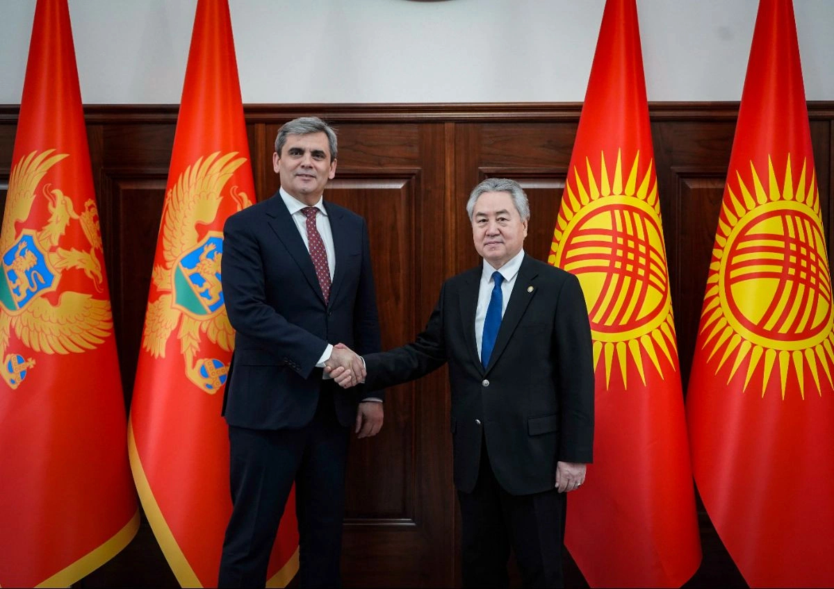 Kyrgyzstan, Montenegro discuss prospects for cooperation in hydropower and green economy