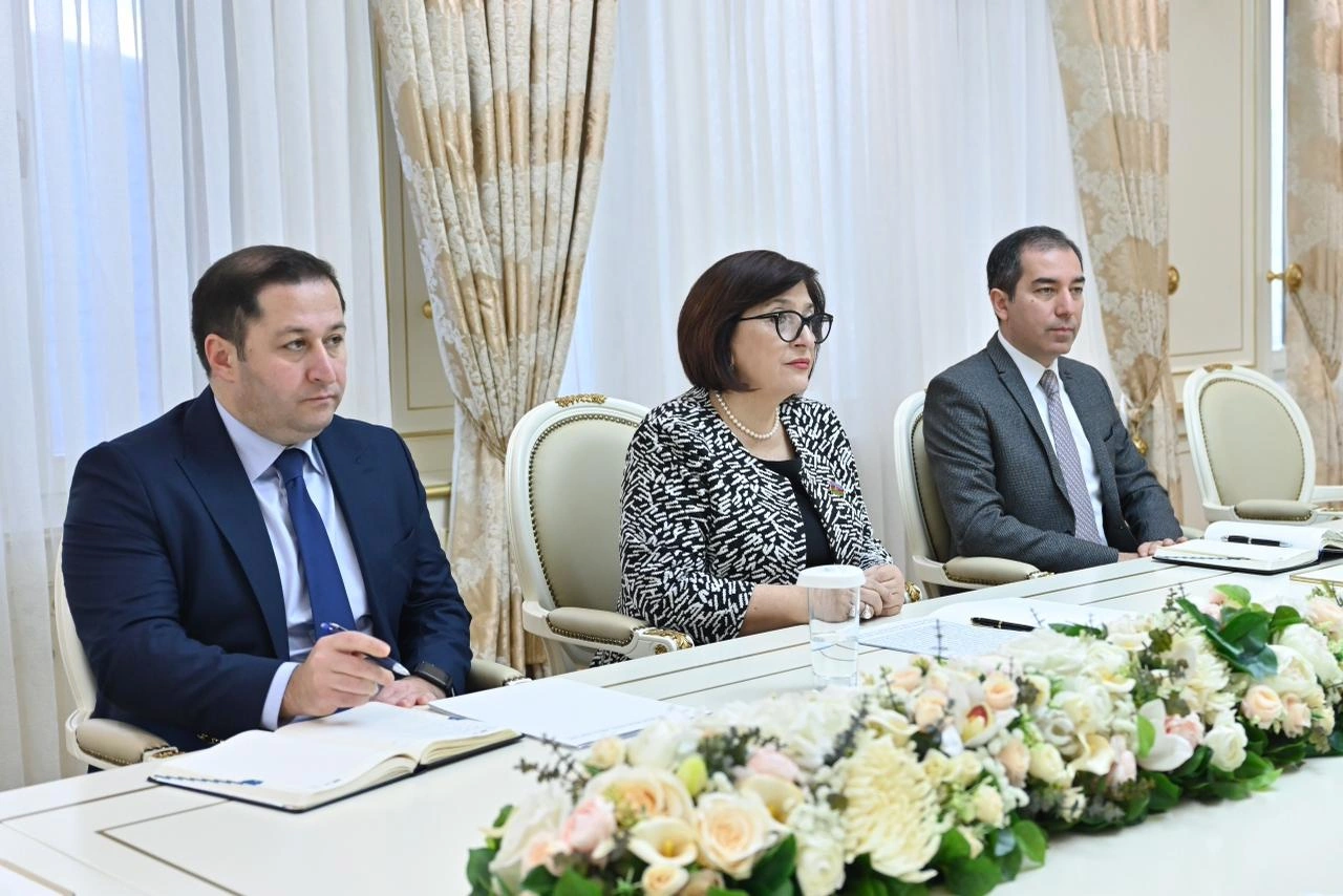 Azerbaijani parliament speaker meets with EU Delegation's chief (PHOTO)