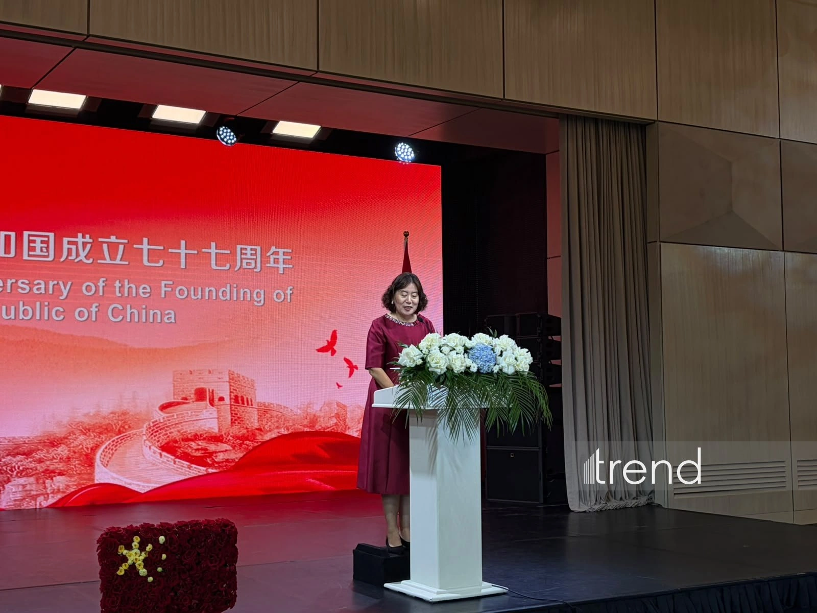 China’s renewable energy capacity surpasses 60% – ambassador
