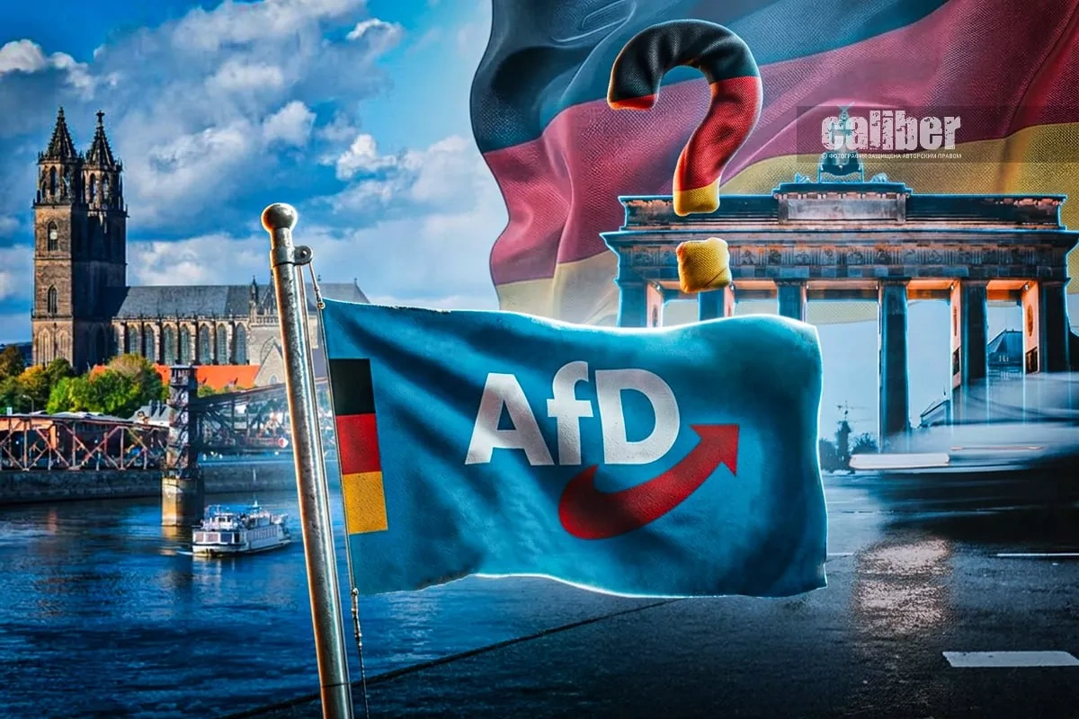 What will Germany choose: change or an AfD ban? Analysis by Limansky