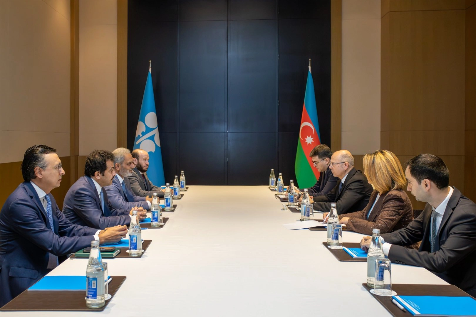 Azerbaijan's energy minister meets OPEC secretary general in Baku (PHOTO)