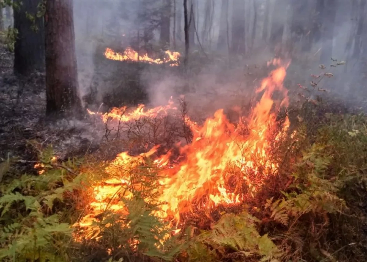 Powerful winds fuel massive Oklahoma fires, smoke drifts toward Texas video