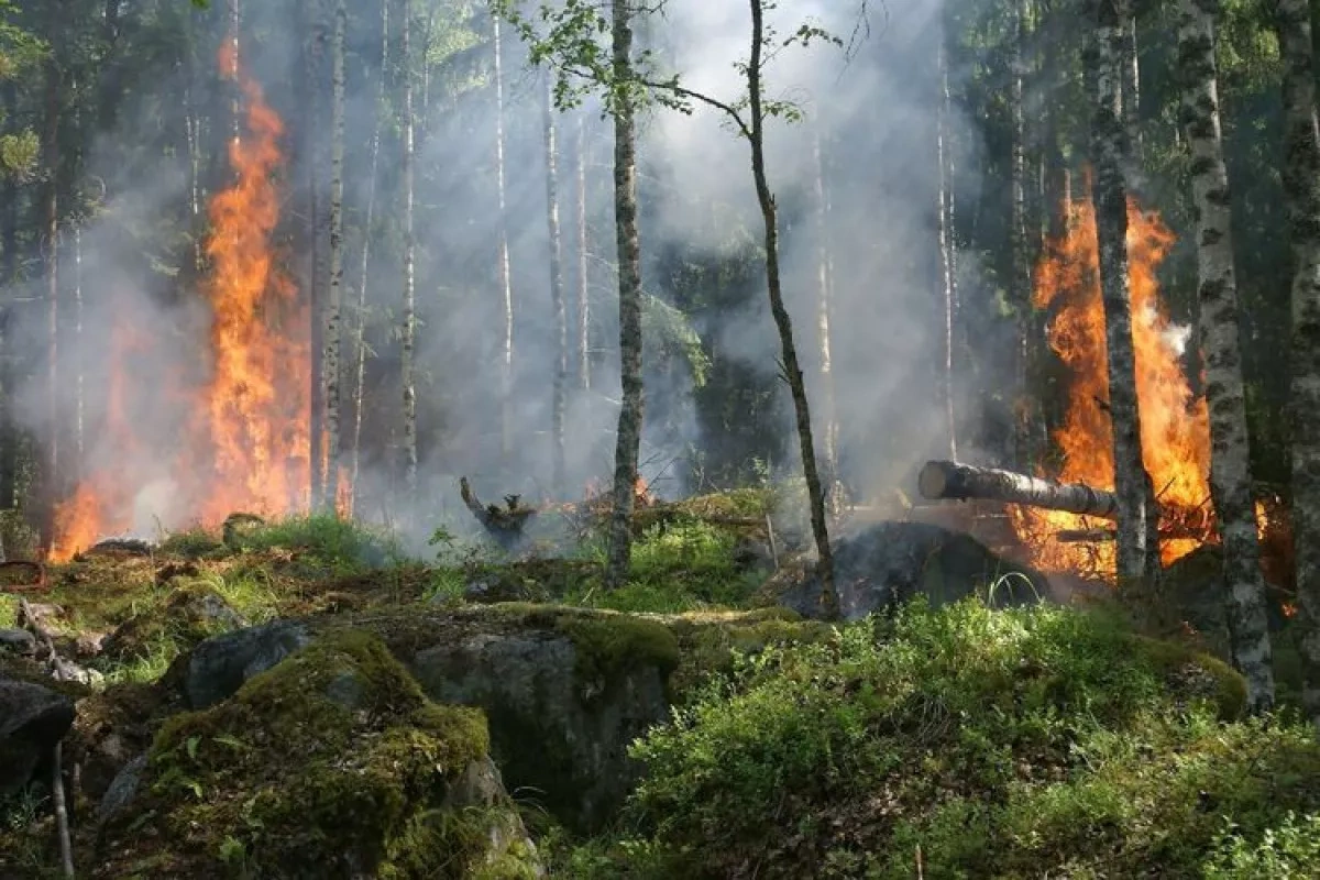 Kazakhstan battles wildfires as drones join firefighting efforts PHOTO