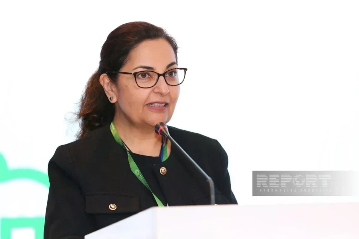 Asian Development Bank, Azerbaijan cooperate on developing cross-border infrastructure