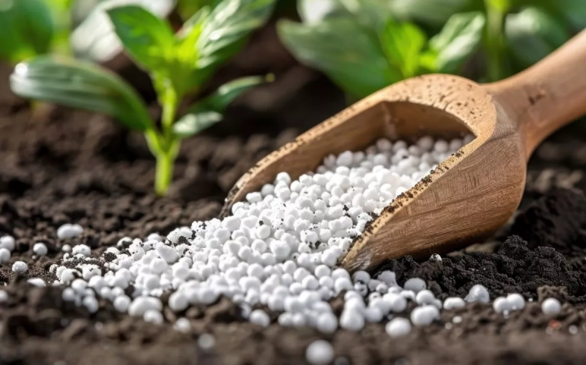 Strait of Hormuz disruptions drive fertiliser prices higher