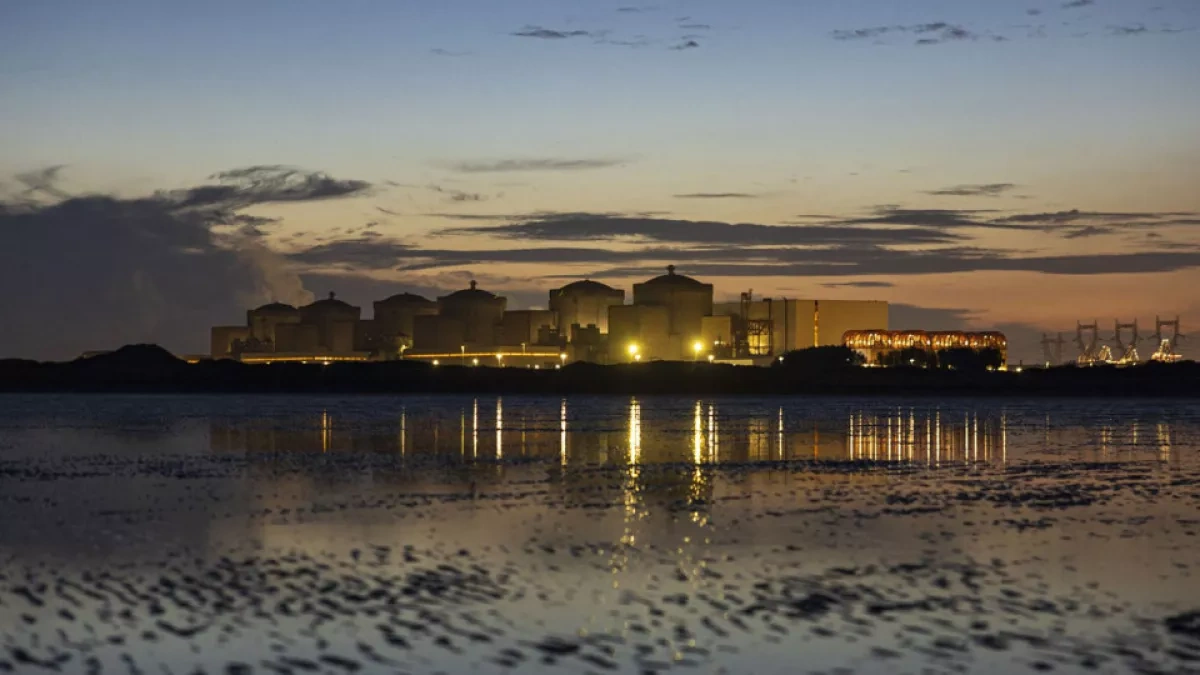 Jellyfish invasion shuts down reactors at France’s nuclear giant