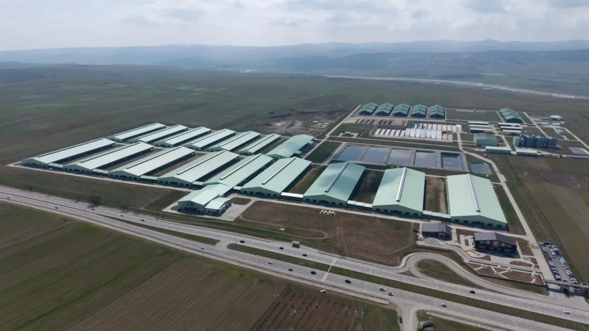 Azerbaijani president attends opening of “Shirvan Agro” livestock complex in Shamakhi PHOTO