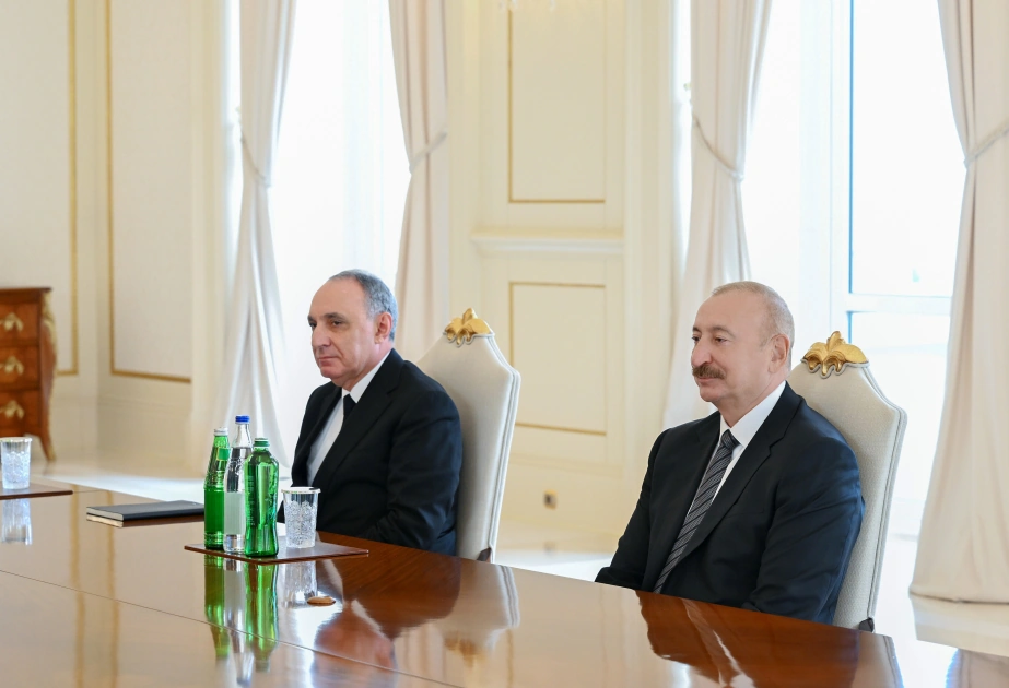 President Ilham Aliyev receives delegation led by Prosecutor General of Supreme People's Procuratorate of China (PHOTO)