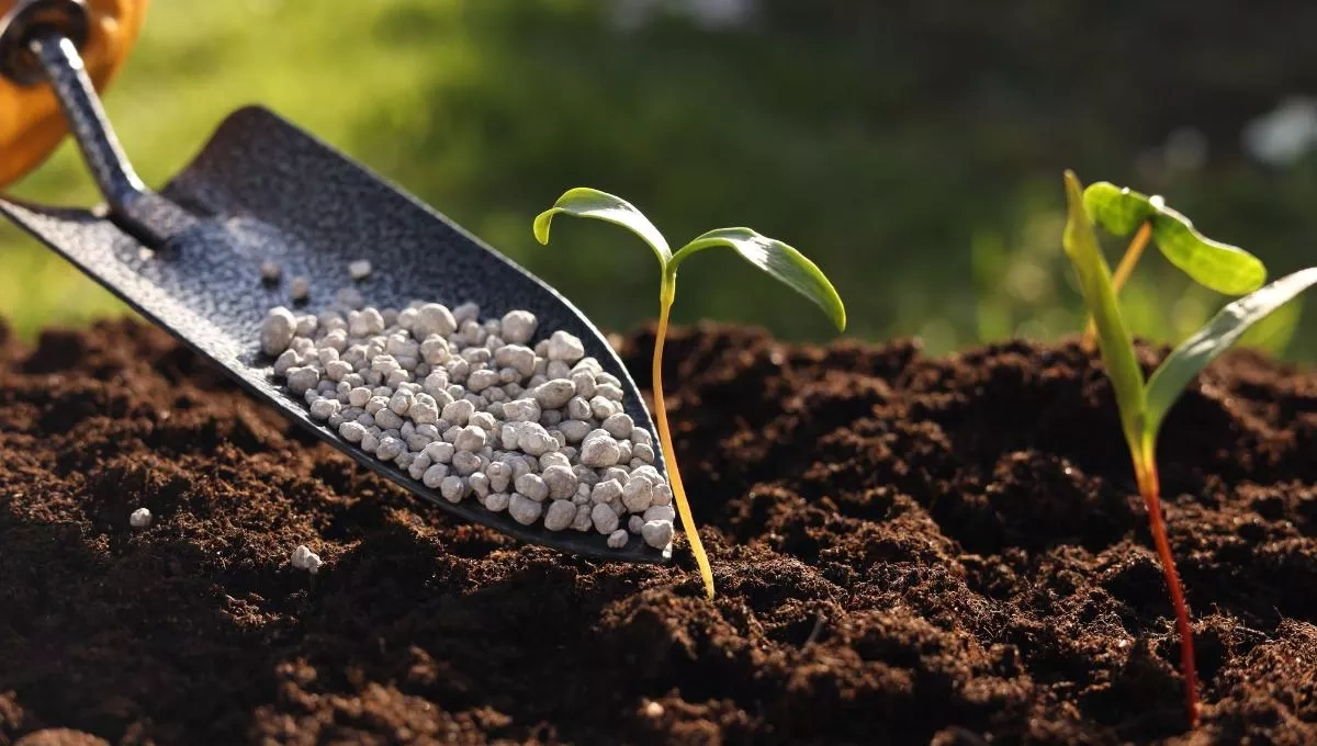 Europe says fertilizer supplies stable despite global price spike