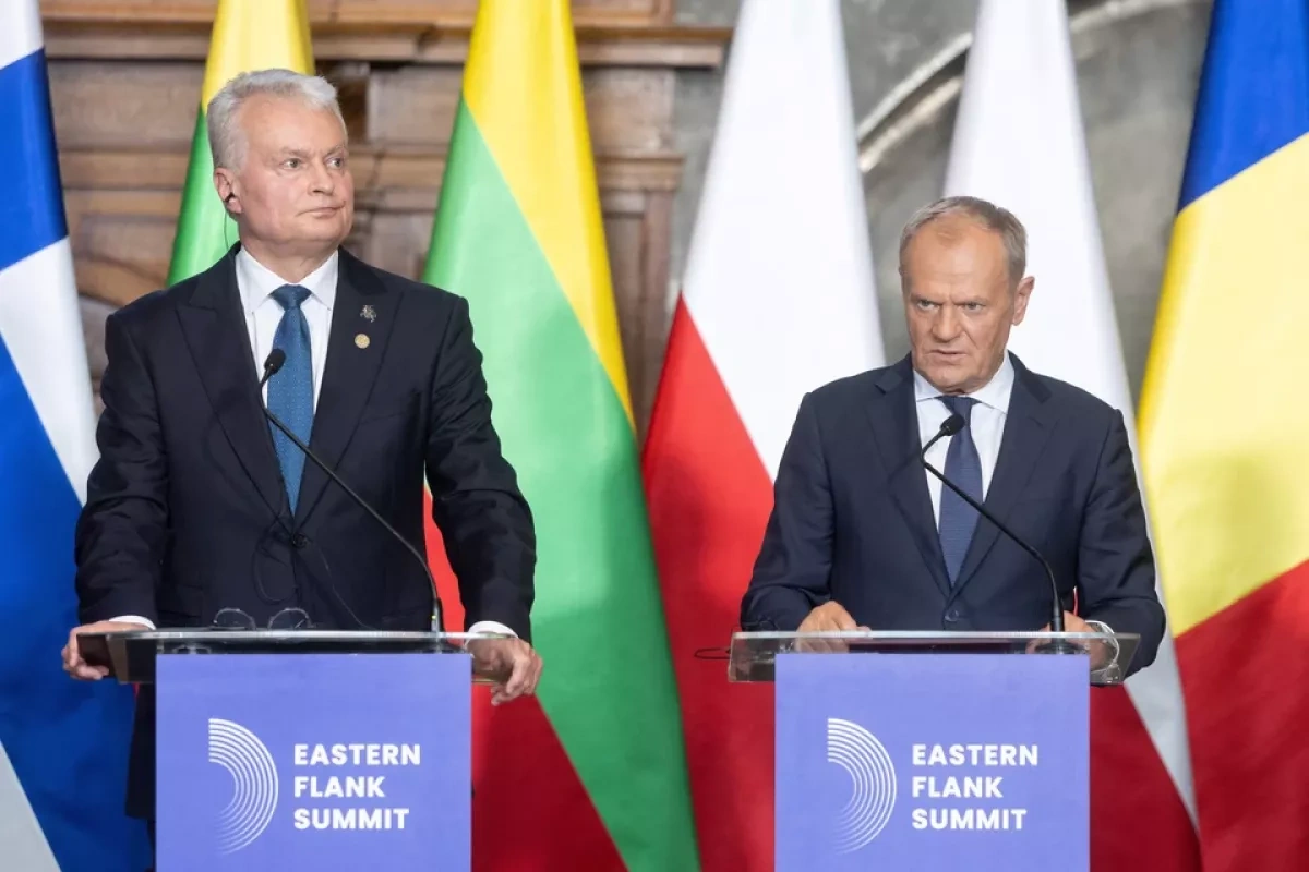 Lithuania's president nearly calls Poland's Tusk "Donald Duck" VIDEO