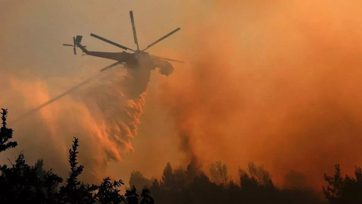 France arrests hundreds over wildfire-related offenses