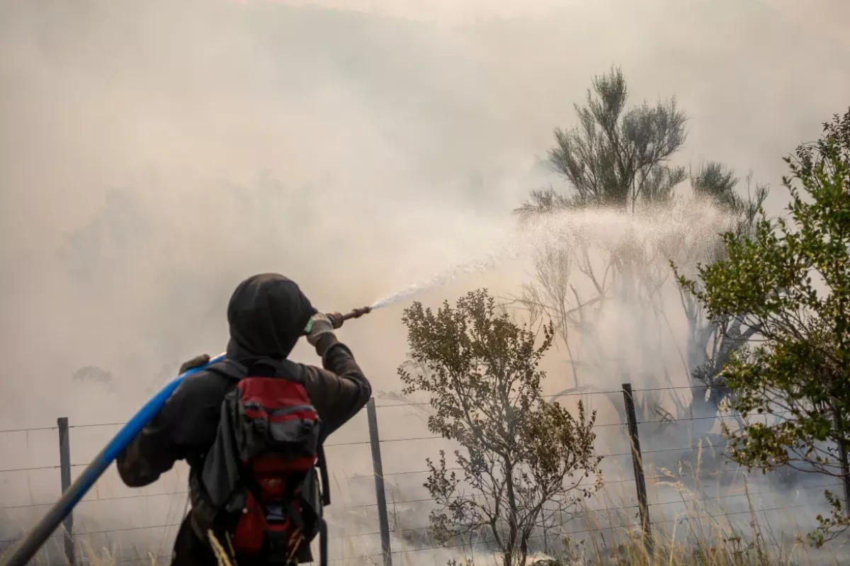 Argentina’s budget cuts fuel wildfire catastrophe in Patagonia