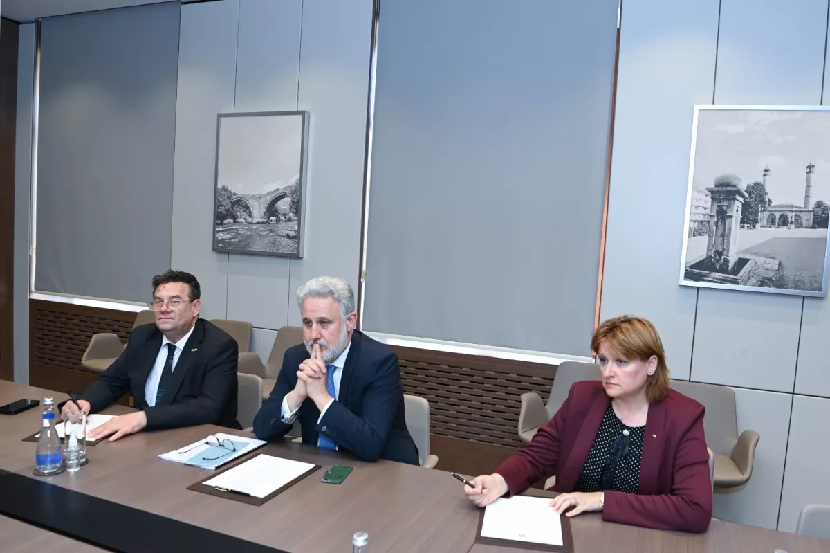 Baku, Bucharest sharpen focus on green energy cooperation