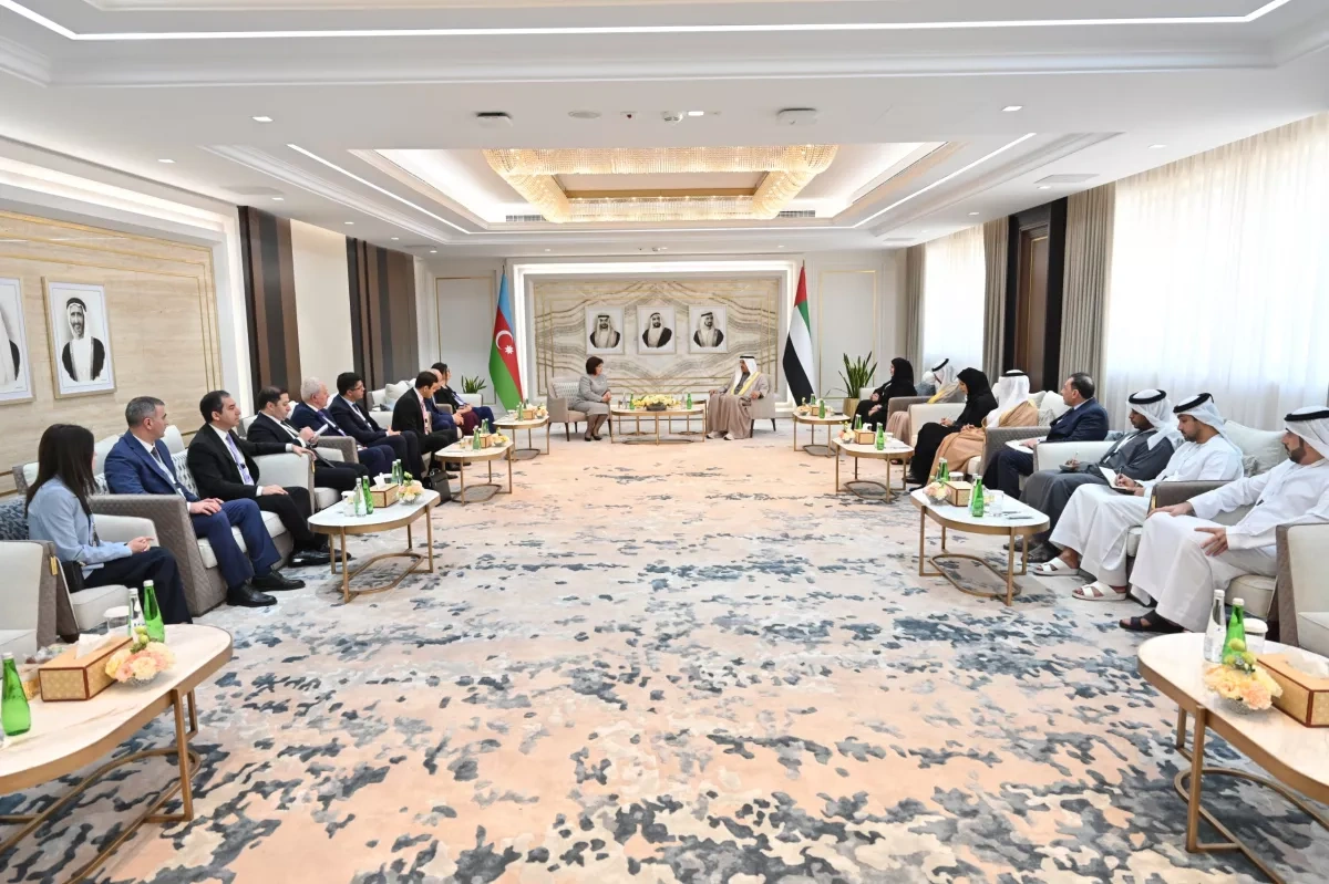 Azerbaijan, UAE emphasise expanding cooperation at parliamentary level photo