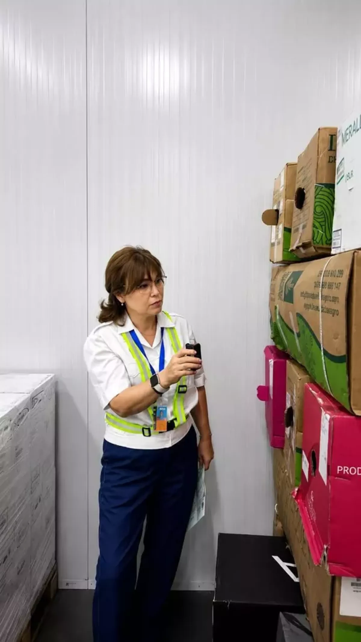 Kazakhstan blocks pest-infested imports from Armenia, Netherlands