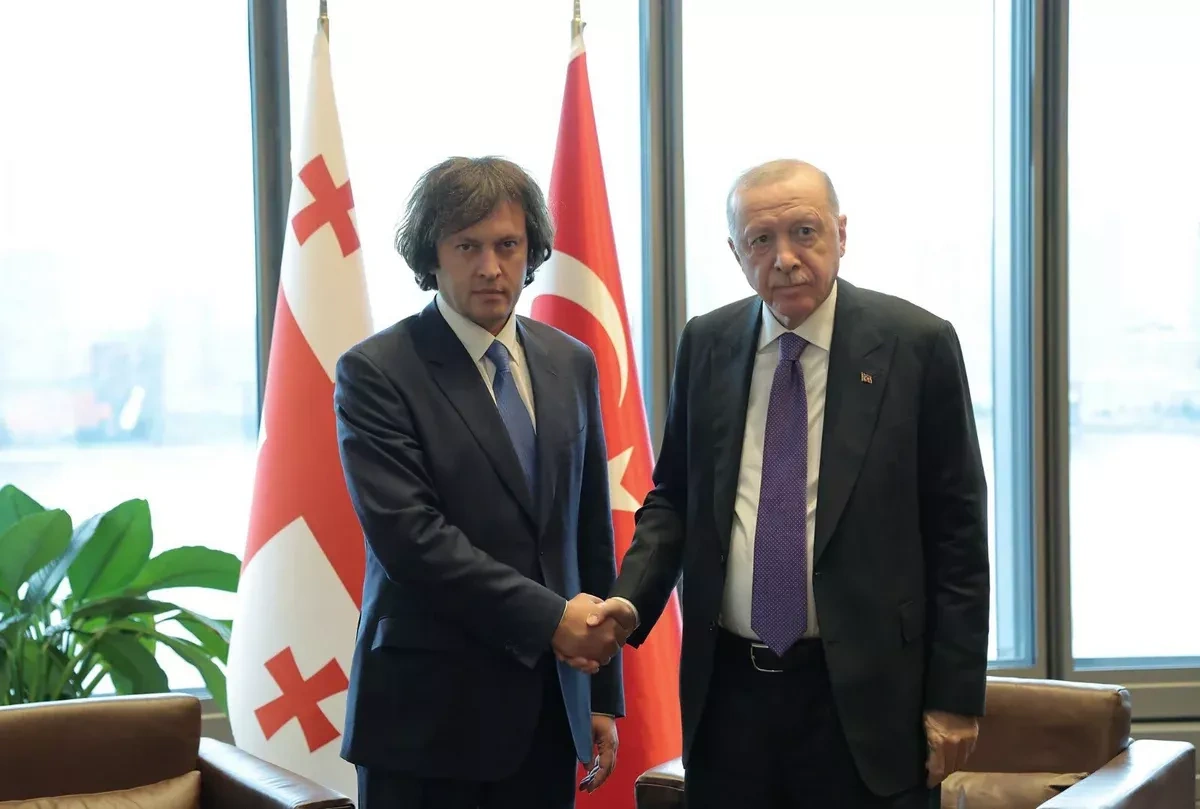 Georgia, Türkiye reaffirm commitment to strengthen strategic partnership