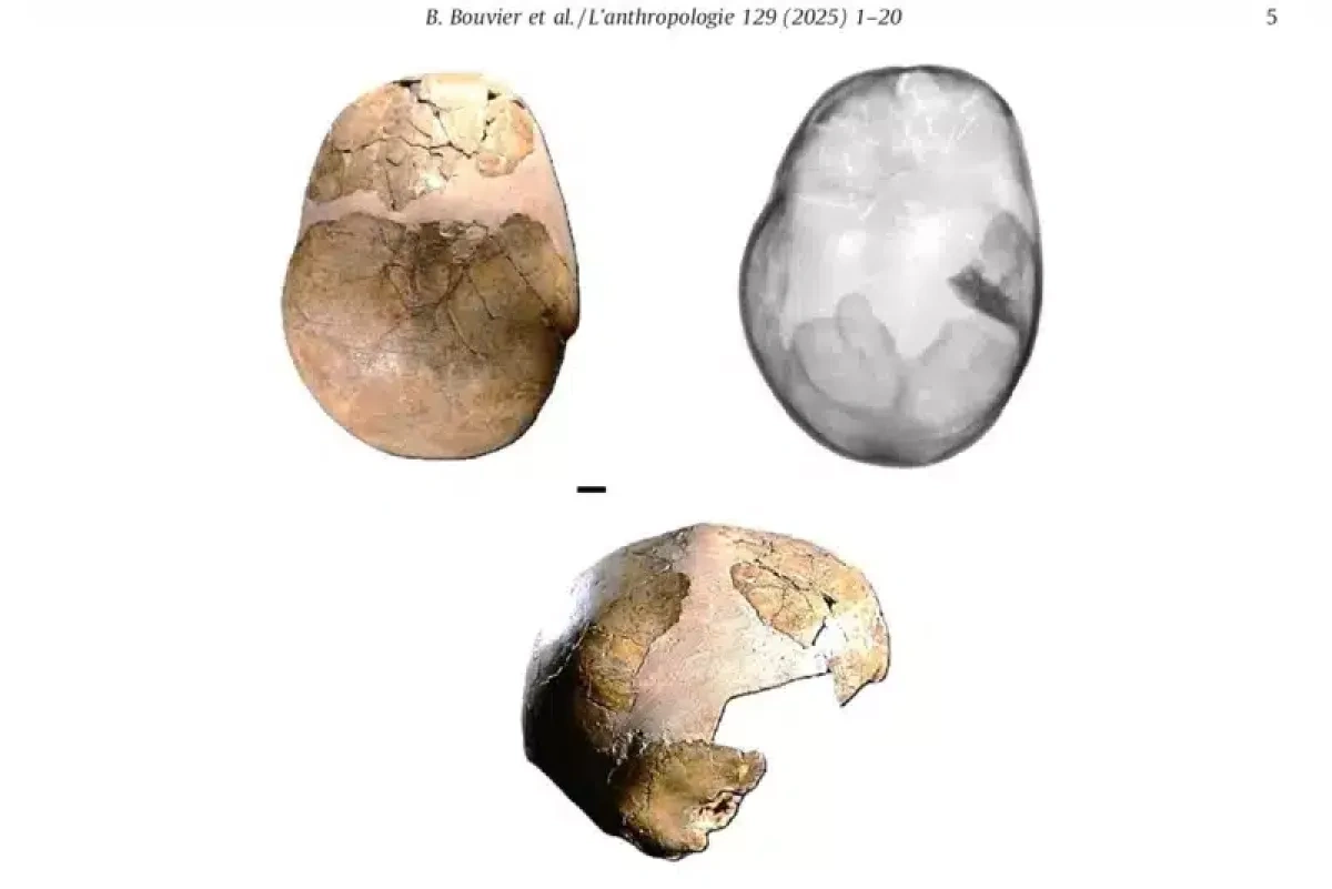New study claims 140,000-year-old child may be earliest human–Neanderthal hybrid PHOTO