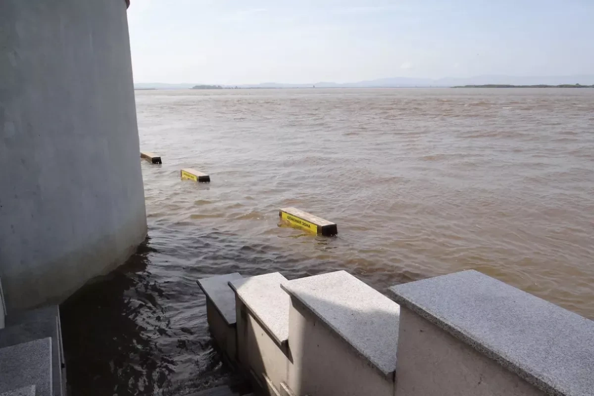 Amur River flooding in Russia affects 129 summer cottage plots VIDEO