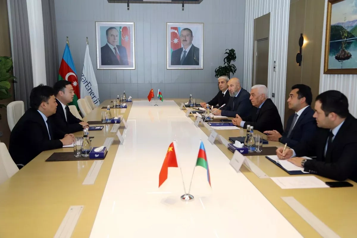 Azerbaijan, China look to expand renewable energy cooperation PHOTO