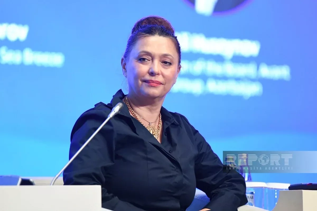 Montenegrin official: Azerbaijan is among country's key investors