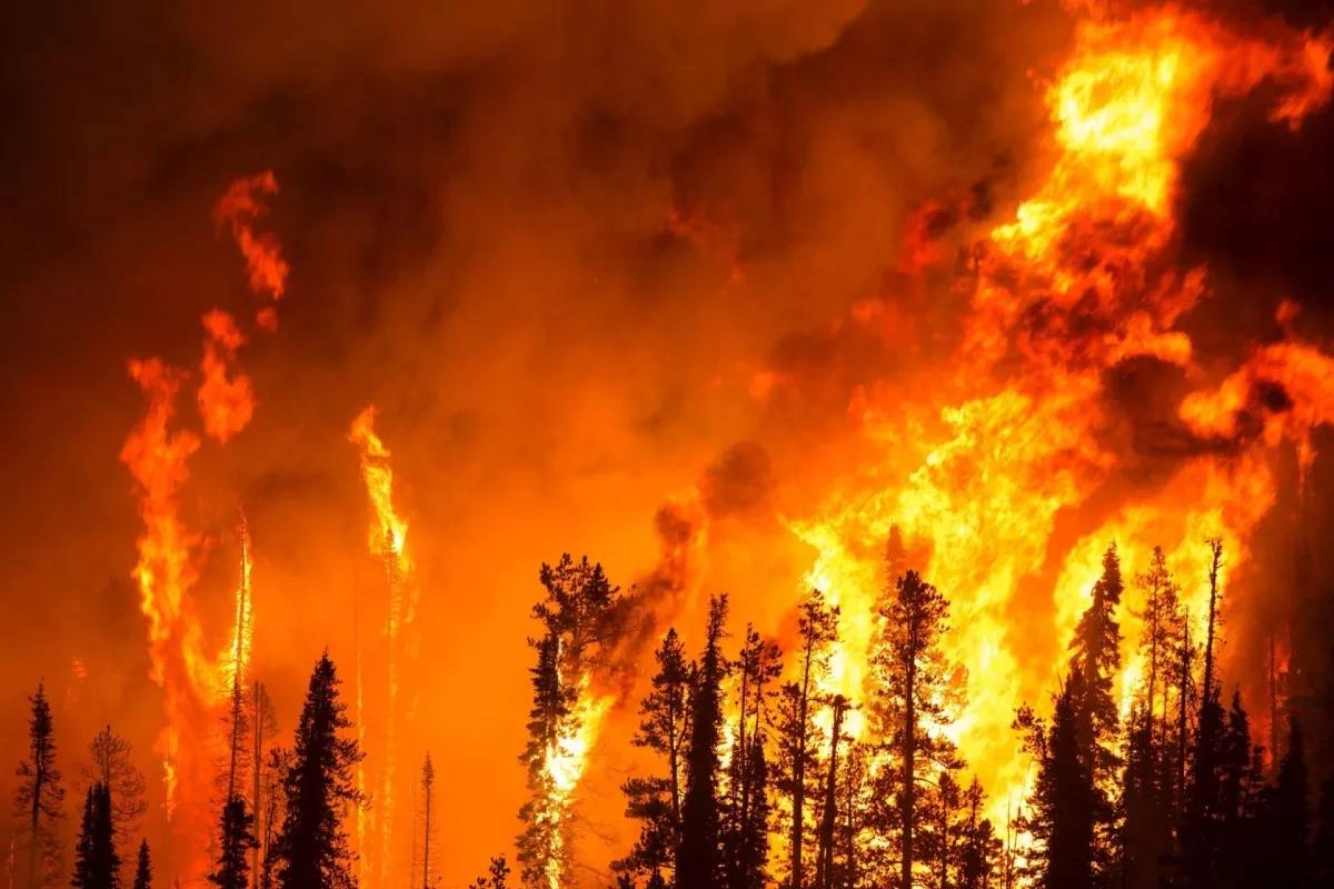 Out-of-control wildfire triggers evacuation of 10,000 in France