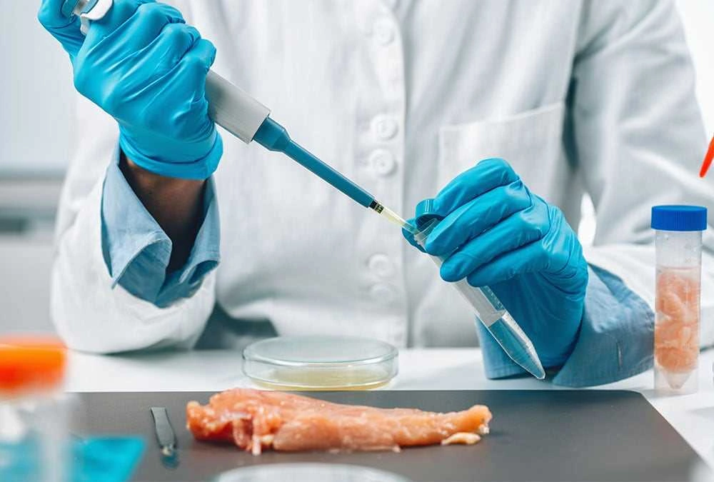 Uzbekistan to transfer key veterinary and food safety functions to private sector from 2027