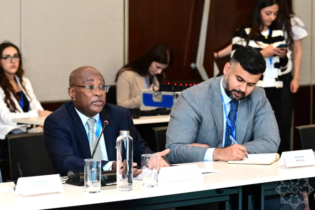 Baku Climate Week calls for bigger business role in green transition PHOTO