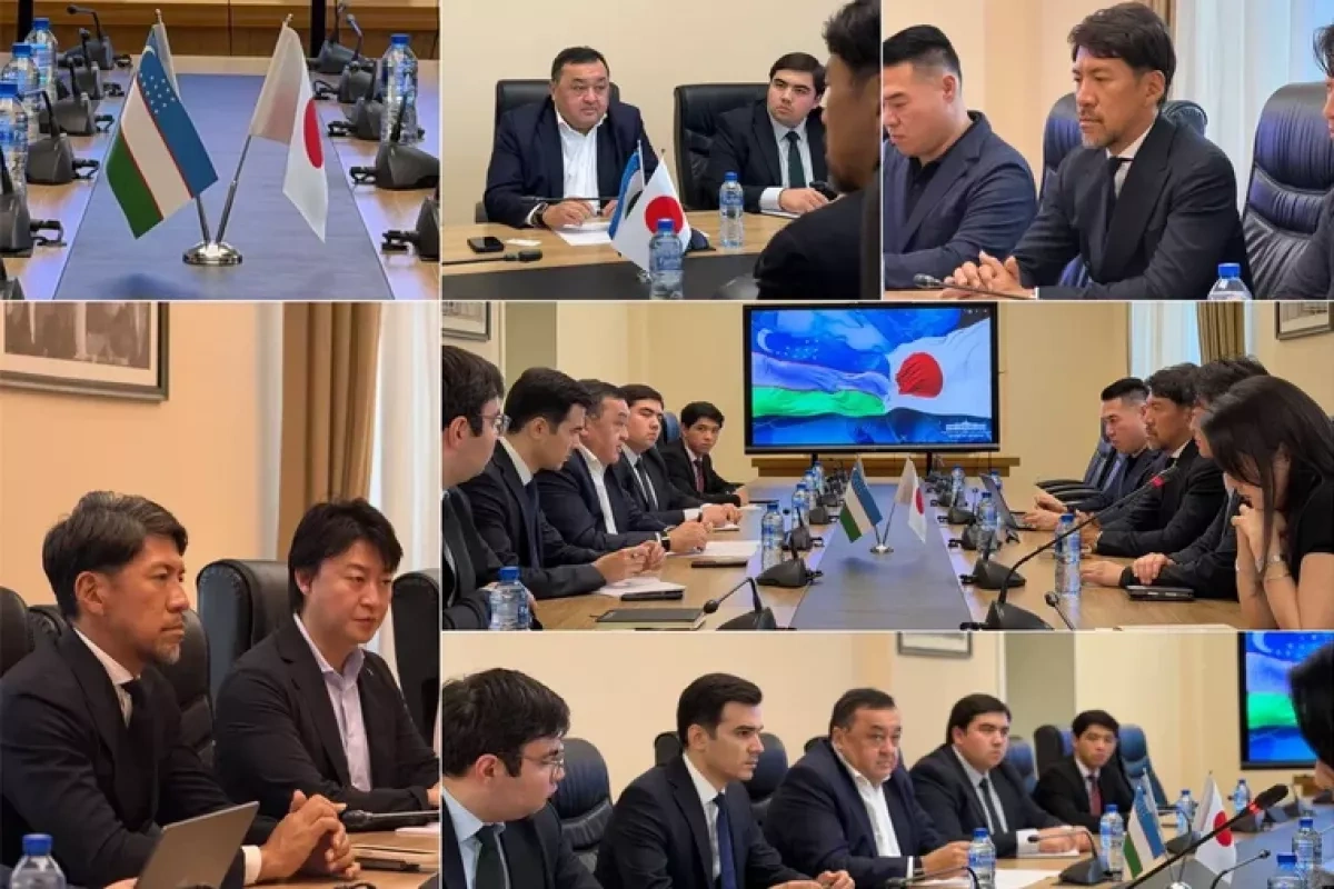 Uzbekistan, Japan discuss new investment projects