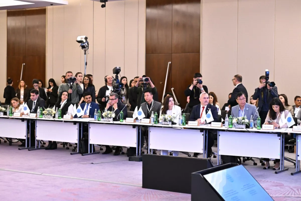 UN endorses Azerbaijan-led initiative linking NGOs across Global South PHOTO