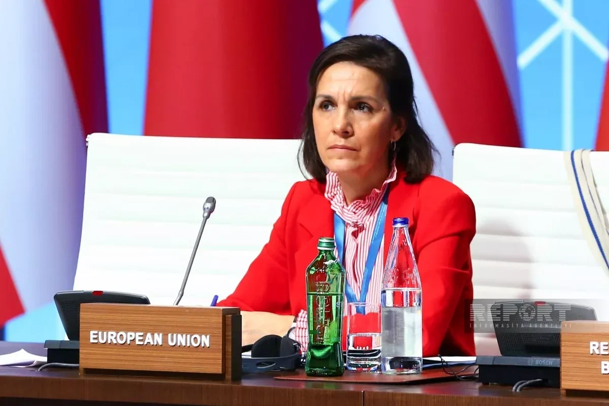 Energy official: EU to remain reliable buyer of Azerbaijani gas