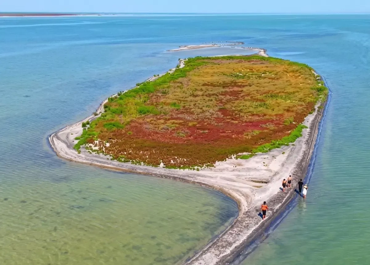 New island emerges in Caspian Sea as water levels fall VIDEO
