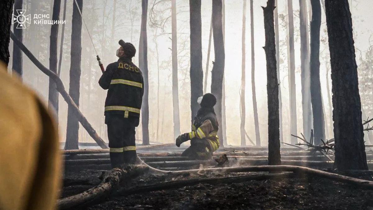 Ukraine: Chernobyl wildfire expands beyond 1,100 hectares PHOTO